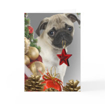 Pug Christmas Cards