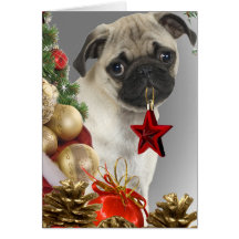 Pug Christmas Cards