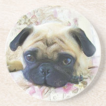 Pug dog beverage coasters