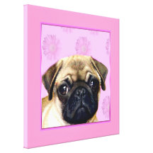 Pug dog canvas print