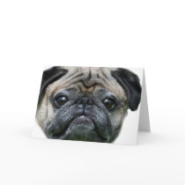 Pug Dog greeting card
