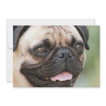 Pug Dog Invitation