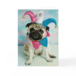 Pug Dog Jester Clown cards