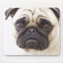 Pug Dog Mouse Pad