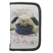 Pug dog organizer