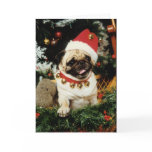 Pug Dog Santa Christmas Card