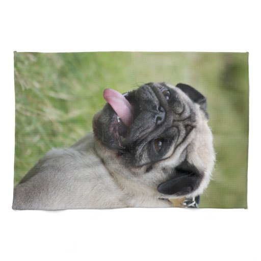 pug towel pug towel photo kitchen tea towel zazzle pug towel pug towel photo kitchen tea towel zazzle