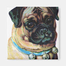 Pug Dog Vintage Refrigerator Magnet