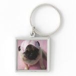 Pug dog with eye mask on head sitting on bed, keychains