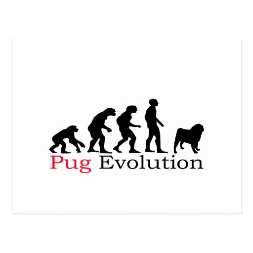 Pug Evolution Postcards