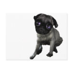 Pug Eyes postcards
