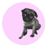 Pug Eyes stickers