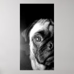 Pug Face posters