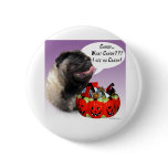 Pug (fawn) Halloween Candy Pinback Button