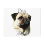 Pug (fawn) Mum 2