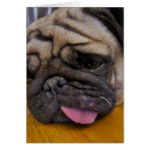 Pug Had One Too Many Greeting Card