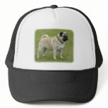 Pug hats