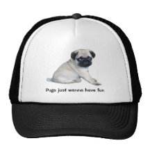 Pug Hat