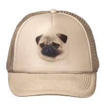 Pug Hat