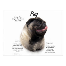 Pug History Design Post Card