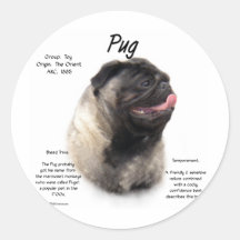 Pug History Design Stickers