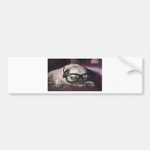 Pug In Glasses Bumper Stickers