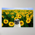 Pug in sunflowers canvas print