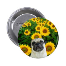 Pug in Sunflowers round button