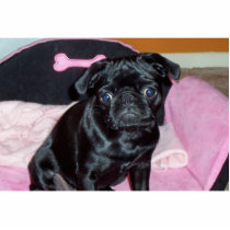 Pug Key Chain Photo Cut Out