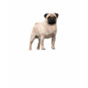 Pug Ladies Shirt