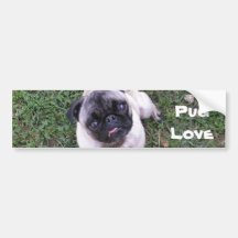 Pug Love Bumper Stickers