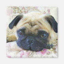Pug magnet