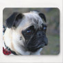 Pug mousepad`