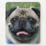Pug  mousepad