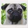 Pug mousepad