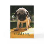 Pug Needs A Hug cards