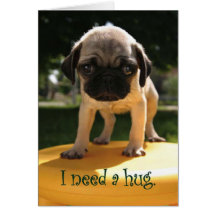 Pug Needs A Hug Cards