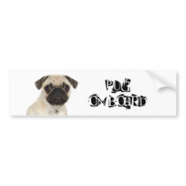 Pug on Board