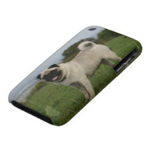 Pug Panting iPhone 3 Case