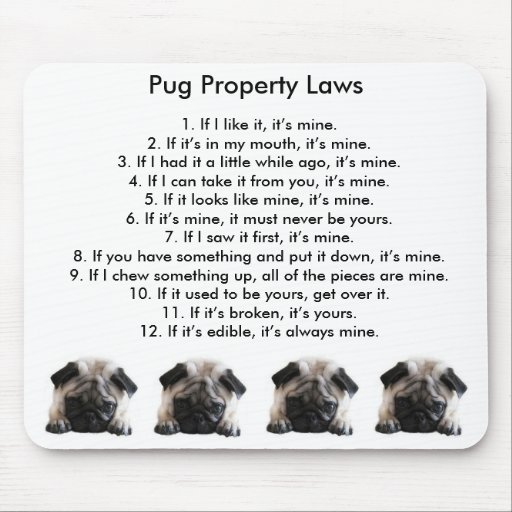 pug mouse mat pug property laws mouse mat zazzle pug mouse mat pug property laws mouse mat zazzle