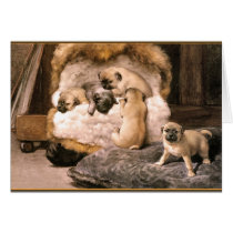 Pug Puppies Greeting Card