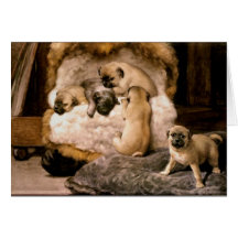 Pug Puppies Card