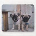 pug puppies mousepads