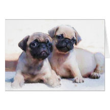 Pug puppies note card