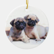 Pug puppies ornament