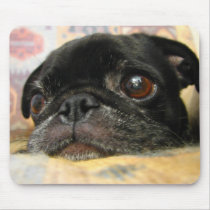 Pug Puppy Black Face Mousepad