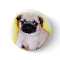 Pug Puppy button