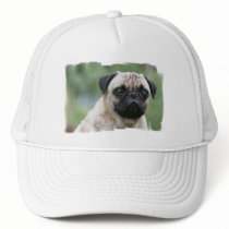 Pug Puppy Dog Baseball Hat