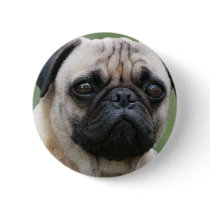 Pug Puppy Dog Button