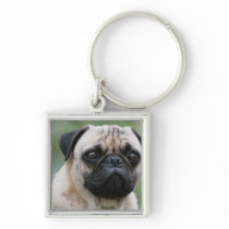 Pug Puppy Dog Keychain